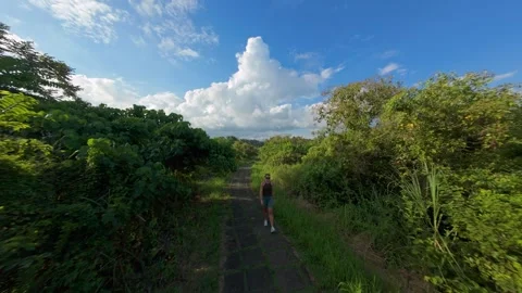 FPV Drone Chasing Walker Along Campuhan Ridge Walk Through Lush Tropical Greener Stock Footage 336626445