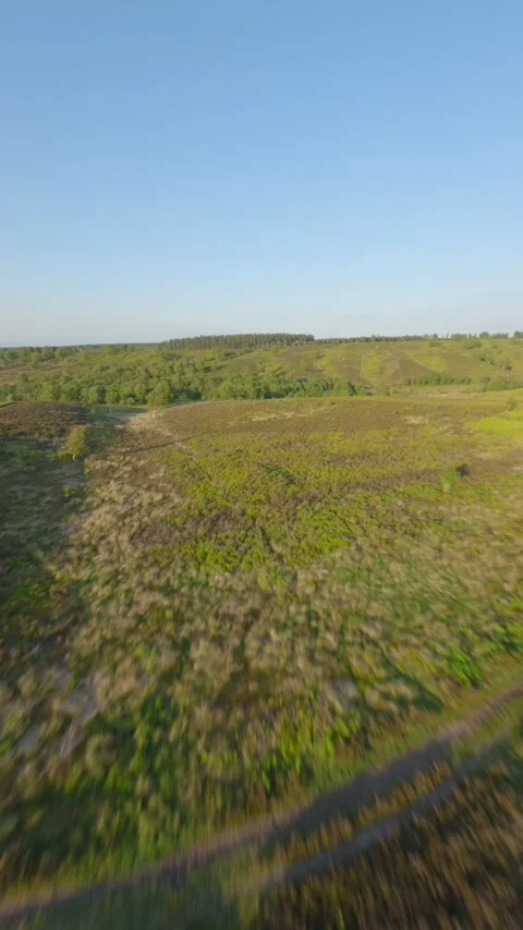 Fpv drone climbs over valley and towards woodland at sunset Stock Footage 243753613