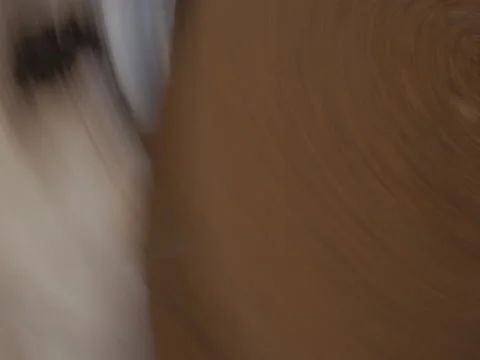 FPV Drone Crash into A SINGLE TREE Stock Footage 231252033