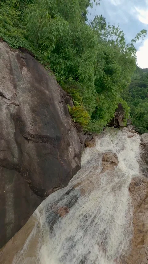 Fpv drone crashed in the jungle Stock Footage 255485373