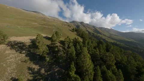 Fpv drone cruising above mountain meadow and forest slope Stock Footage 336866149