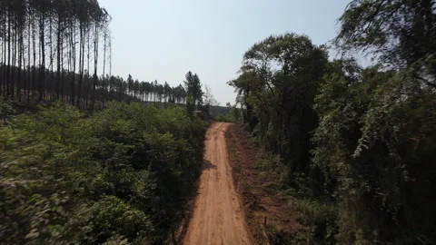 FPV drone descends red dirt road passing log piles and machinery clearing Stock Footage 302351791