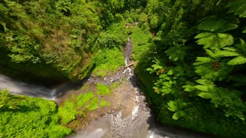 FPV drone dive near the cascading Fiji Waterfalls in the lush jungle in Bali Stock Footage 287985686