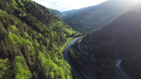FPV drone dive over forest towards a river Stock Footage 275095577