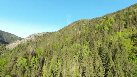 FPV drone dive over forest towards a river Video stock 275097226