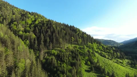 FPV drone dive over forest towards a river Stock Footage 275098471
