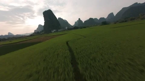 FPV drone dive over Yulong River and rice fields toward karst mountains in China Stock Footage 348012192
