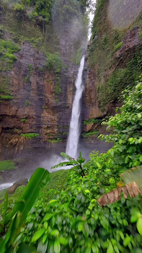 FPV drone dive through scenic waterfall in lush jungle East Java, Indonesia Stock Footage 317504076