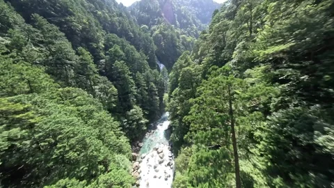 FPV Drone Exploring Remote River and Waterfall in Japanese Mountains, Odai Mie Video stock 331441545