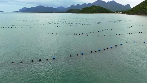 FPV Drone fast flight above fishing nets rows floating in the sea near the Stock Footage 319013861