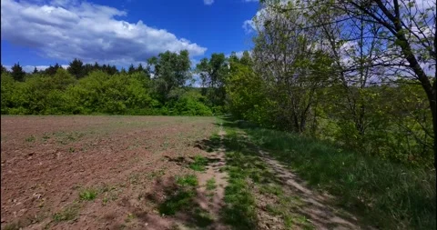 FPV Drone Fast Flight: Road Above Spring Field (Motion Blur) Stock Footage 308019207