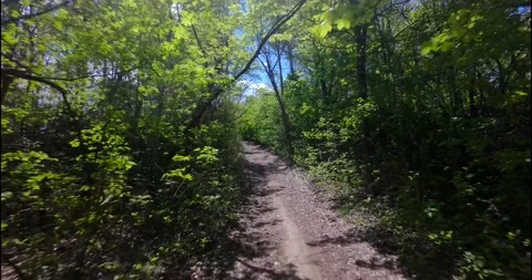 FPV Drone Fast Flight: Sun Dappled Forest Road (Motion Blur) Stock Footage 308019189