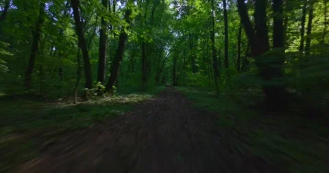 FPV Drone Fast Flight: Sun Dappled Forest Road (Motion Blur) Stock Footage 308023821