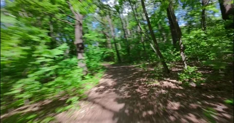 FPV Drone Fast Flight: Sun Dappled Forest Road (Motion Blur) Stock Footage 308060695