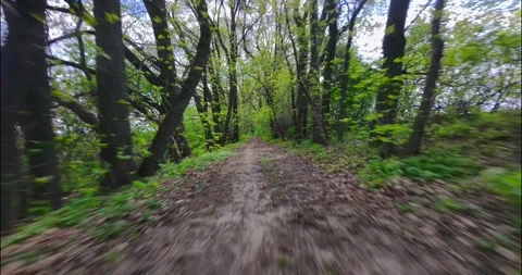 FPV Drone Fast Flight Through Spring Forest Road (Motion Blur) Stock Footage 308015822