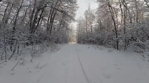 FPV Drone Flashing Through Snowy Forest In Winter Stock Footage 330901482