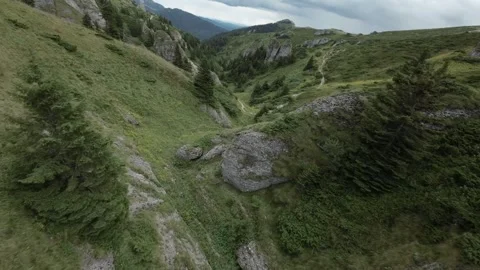 Fpv drone flies in beautiful alpine valley between pine trees Vídeo Stock 263477757