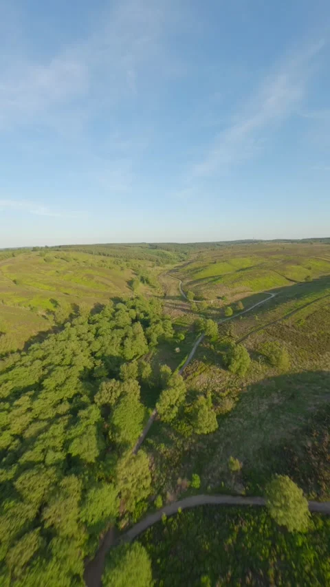 Fpv drone flies down a valley with weaving trails through woods Stock Footage 243753902