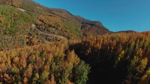 FPV drone flies over the autumn forest.4K stock video Stock Footage 293325448