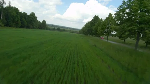FPV drone flies quickly and maneuverable along the field with green wheat. Red Stock Footage 133035804