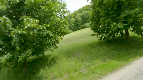 FPV drone flies quickly and maneuverable along a green meadow surrounded by Vidéo 135418182