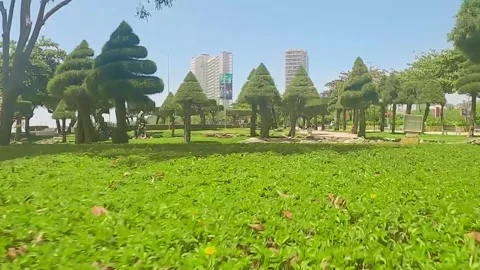 Fpv drone flies through the park Video stock 241436130