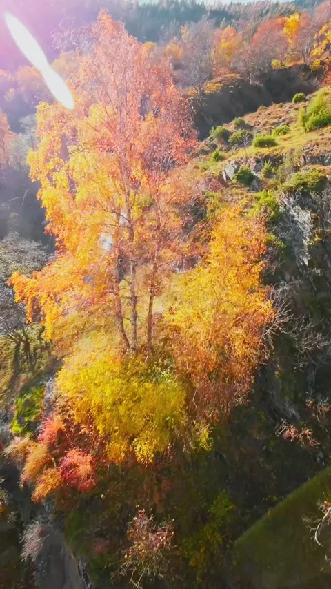 FPV Drone flies through the Partschins Waterfall near Meran, South Tyrol, Italy Stock Footage 322112839