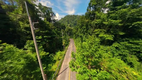 FPV drone flight above winding road through dense tropical rainforest, Thailand Video stock 336662446