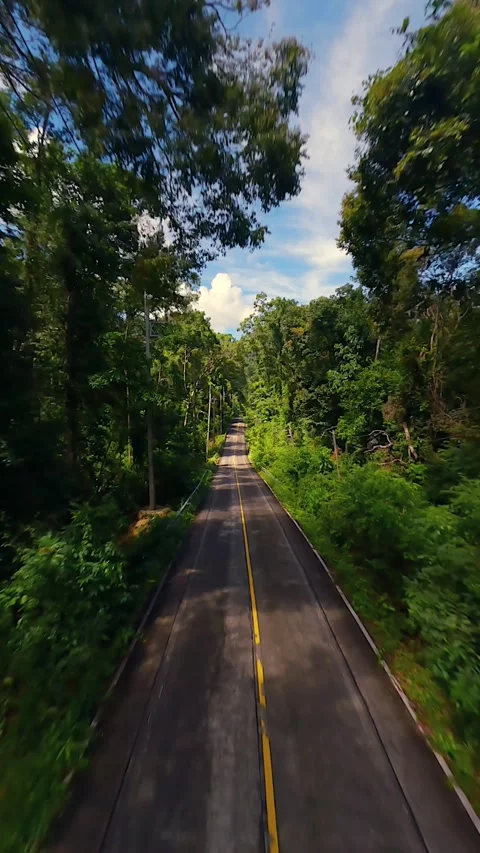 FPV drone flight above winding road through dense tropical rainforest, Thailand Stock-Footage 336689217