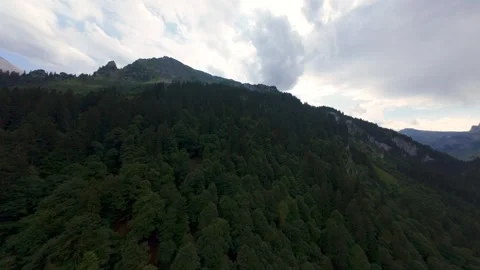 FPV Drone Flight Along Alpine Forest and Mountain Ridge in Switzerland 스톡 동영상 343927876