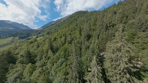 FPV drone flight on Austria mountain with forest. Stock Footage 163509079