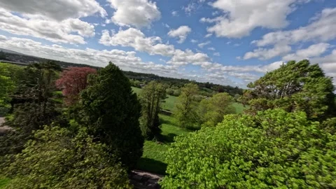 FPV Drone Flight between the trees close to branches Irish Ireland Stock Footage 317714213