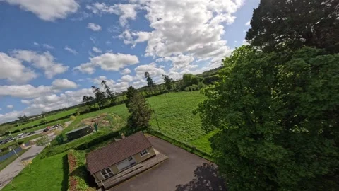 FPV Drone Flight between the trees close to branches Irish Ireland Stock Footage 317714924