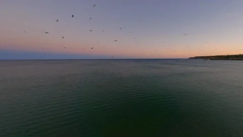 FPV Drone flight at famous Meia Praia beach, Lagos, Algarve, Portugal. (C) Stock Footage 162492459
