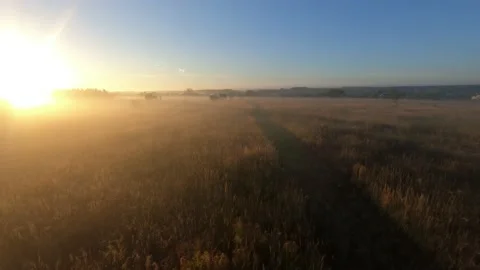 Fpv drone flight in a field with white fog morning Stock Footage 222940085