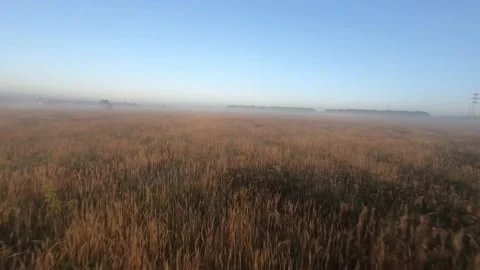 Fpv drone flight in a field with white fog morning Stock Footage 222940458