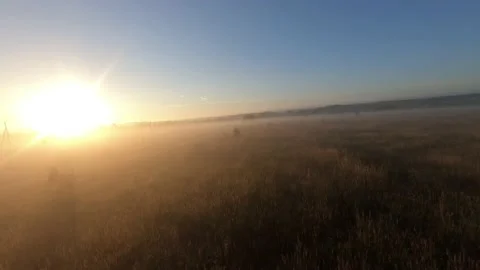 Fpv drone flight in a field with white fog morning Stock Footage 222940745