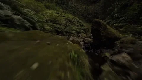 Fpv drone flight in the gorge Stock Footage 168617496
