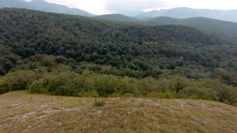 FPV drone flight in the mountains, forests, clearing Stock Footage 157650075