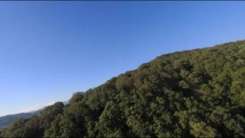 FPV drone flight in the mountains overgrown Stock Footage 206374436