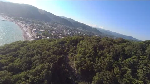 FPV drone flight in the mountains overgrown Stock Footage 206374697