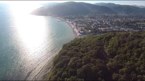 FPV drone flight in the mountains overgrown Stock Footage 206375507