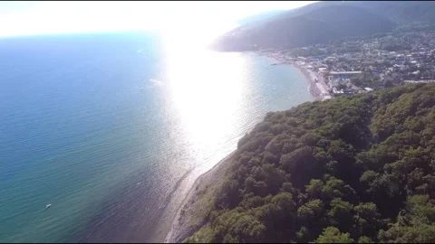 FPV drone flight in the mountains overgrown Stock Footage 206375645