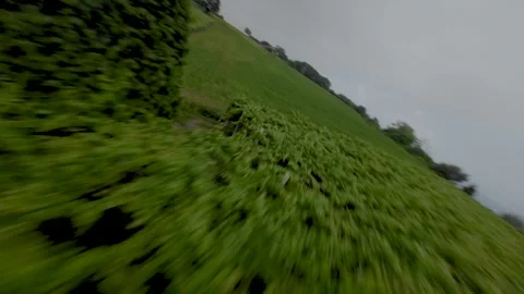 Fpv drone flight in the nature Stock Footage 245579787