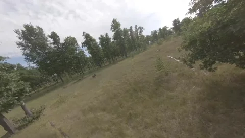 Fpv drone flight in oak grove Stock Footage 206354551