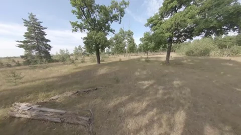 Fpv drone flight in oak grove Stock Footage 206354782