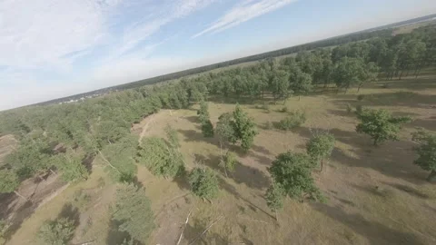 Fpv drone flight in oak grove Stock Footage 206356044