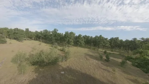 Fpv drone flight in oak grove Stock Footage 206356049