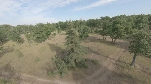 Fpv drone flight in oak grove Stock Footage 206357125