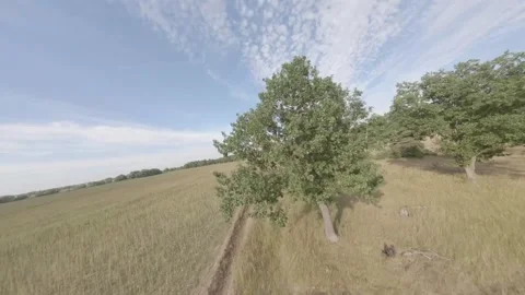 Fpv drone flight in oak grove Stock Footage 206357142